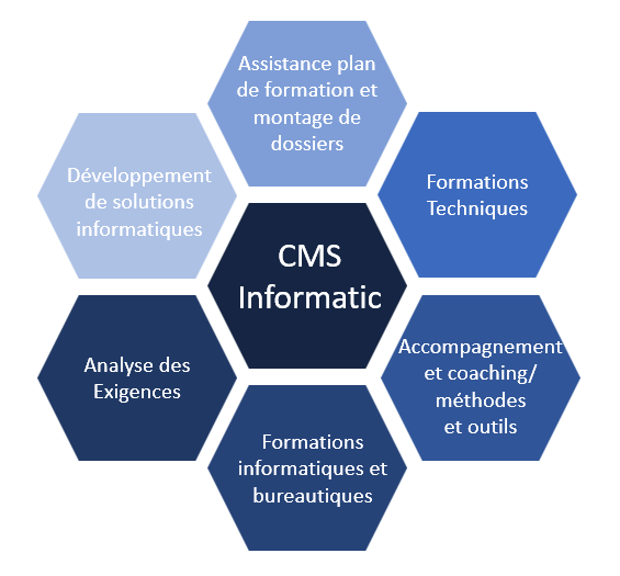 Domaines d'activité CMS Informatic